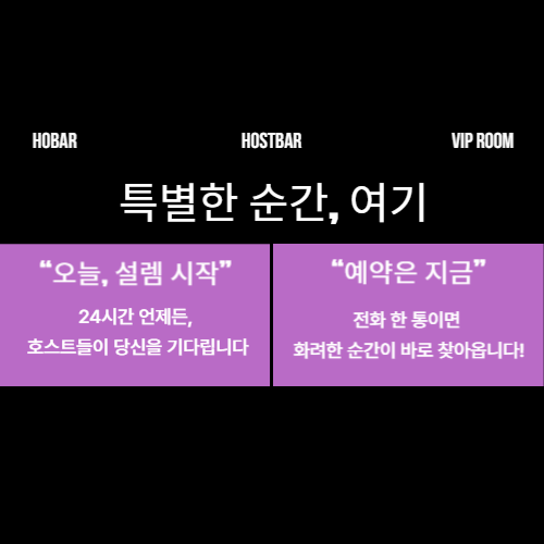 에이스 항시 대기